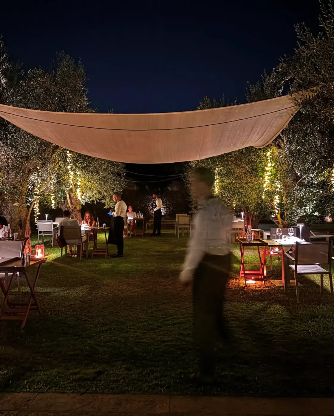 Cena serale in giardino sotto gli ulivi illuminati